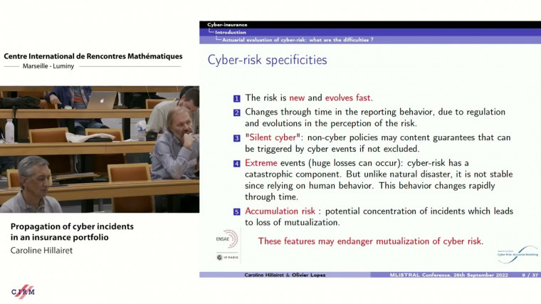 Propagation of cyber incidents in an insurance portfolio
