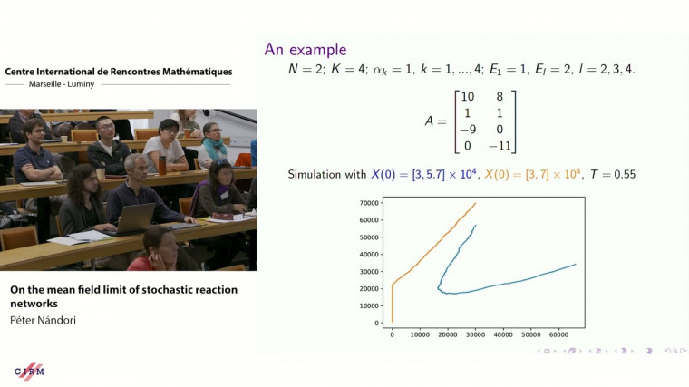 On the mean field limit of stochastic reaction networks