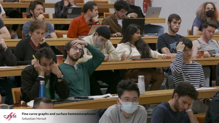 Fine curve graphs and surface homeomorphisms