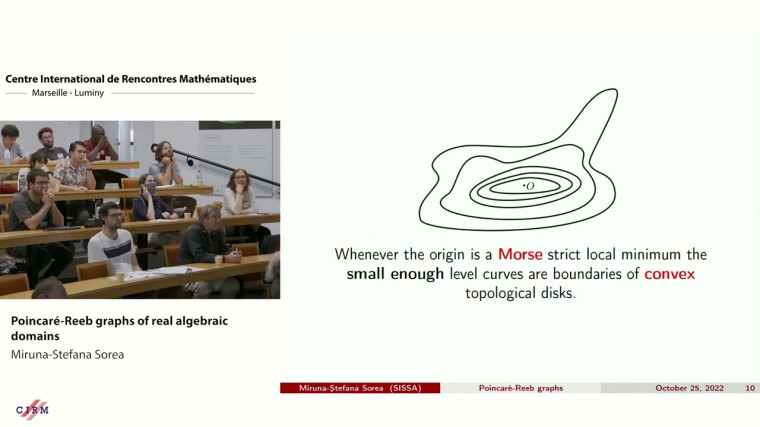 Poincaré-Reeb graphs of real algebraic domains