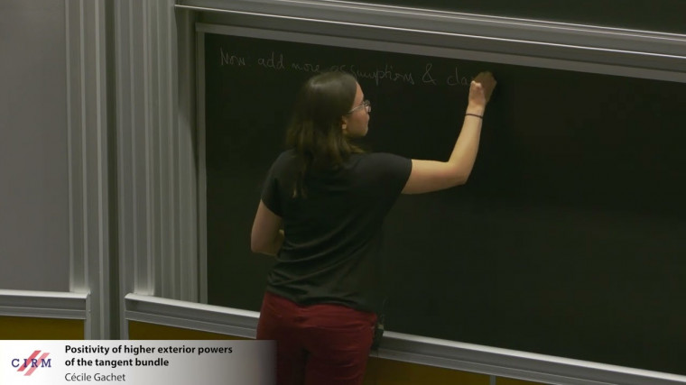 Positivity of higher exterior powers of the tangent bundle