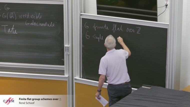 Finite flat group schemes over Z