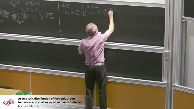 Asymptotic distribution of Frobenius roots for curves and abelian varieties over a finite field