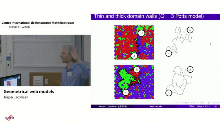 Geometrical web models