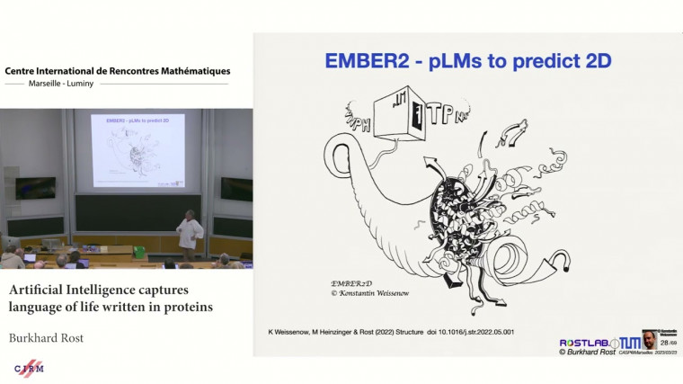 Artificial Intelligence captures language of life written in proteins
