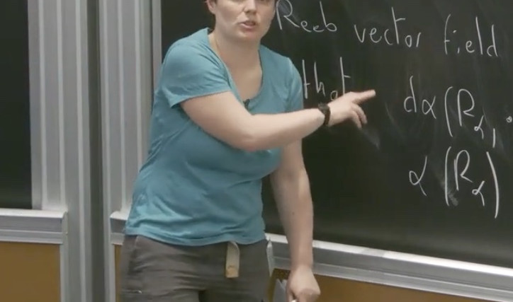 Contact flows and Birkhoff sections - Part 1