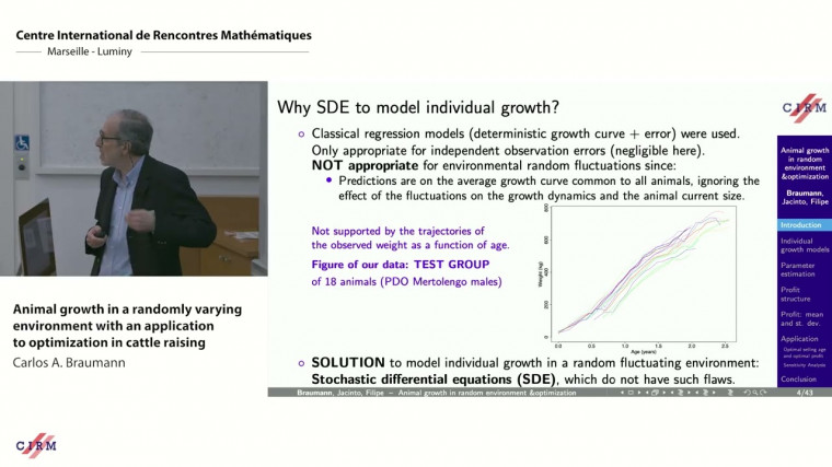 Animal growth in a randomly varying environment with an application to optimization in cattle raising