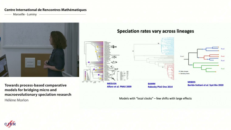 Towards process-based comparative models for bridging micro and macroevolutionary speciation research