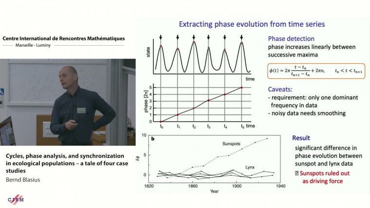 Cycles, phase analysis, and synchronization in ecological populations – a tale of four case studies