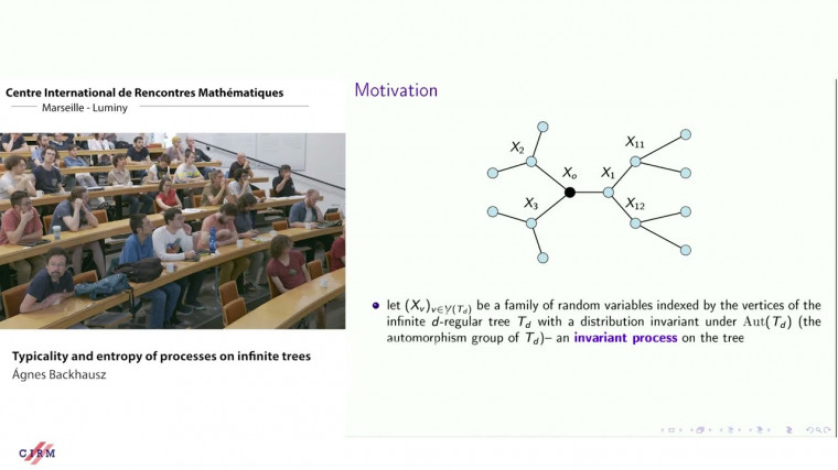 Typicality and entropy of processes on infinite trees