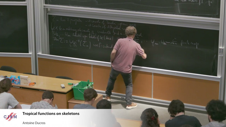 Tropical functions on skeletons