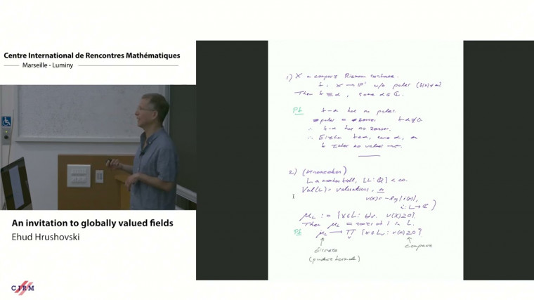 An invitation to globally valued fields