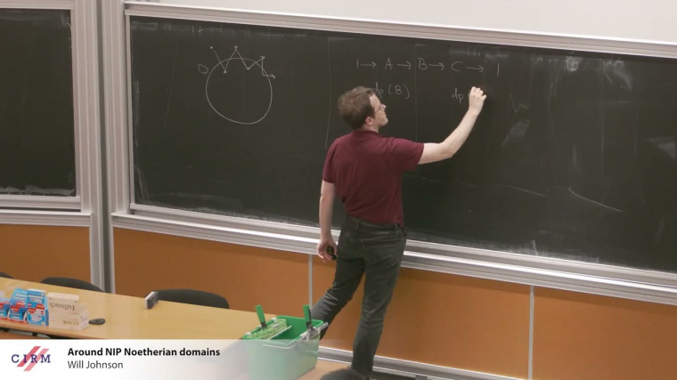 Around NIP Noetherian domains