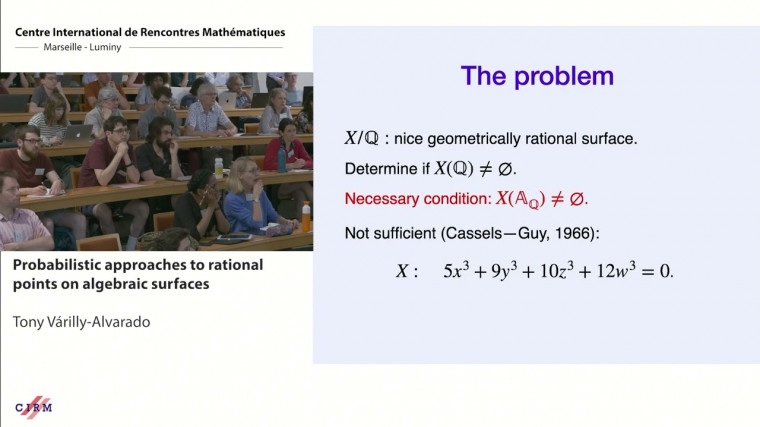 Probabilistic approaches to rational points on algebraic surfaces