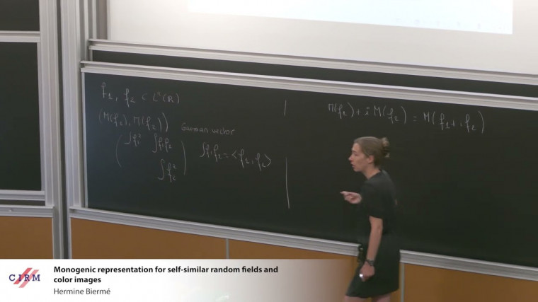 Monogenic representation for self-similar random fields and color images