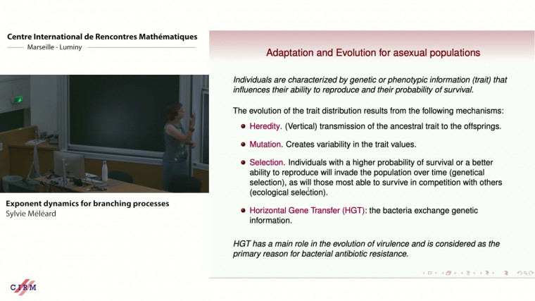 Exponent dynamics for branching processes