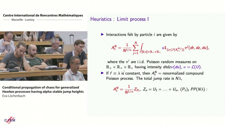 Conditional propagation of chaos for generalized Hawkes processes having alpha-stable jump heights