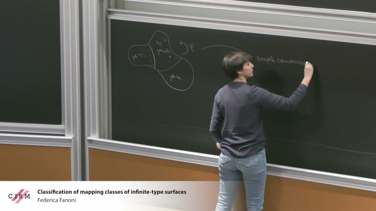 Classification of mapping classes of infinite-type surfaces
