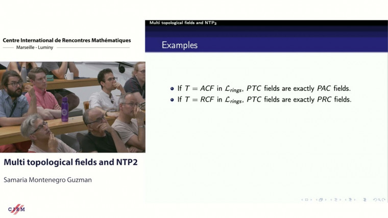 Multi topological fields and NTP2