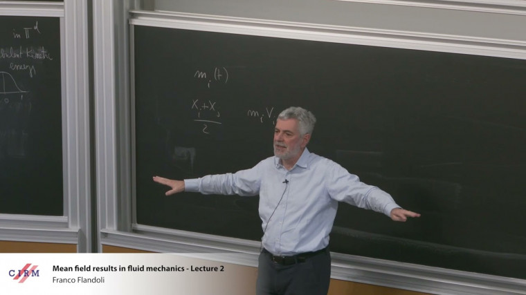 Mean field results in fluid mechanics - Lecture 2