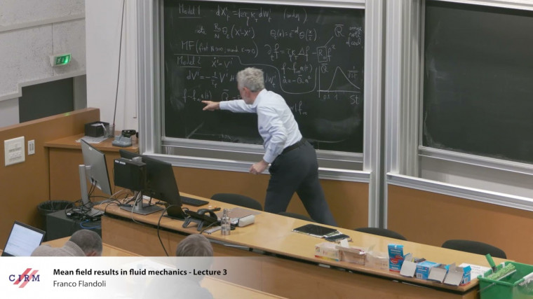 Mean field results in fluid mechanics - Lecture 3