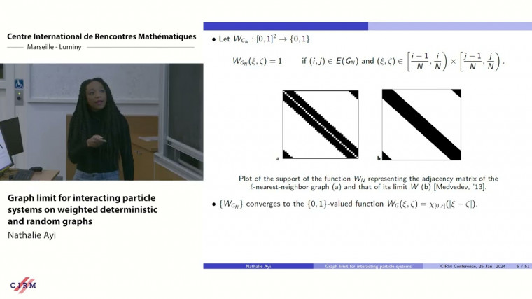 Graph limit for interacting particle systems on weighted deterministic and random graphs