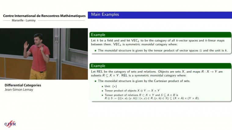 Differential categories