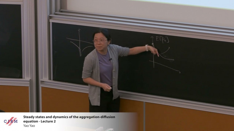 Steady states and dynamics of the aggregation-diffusion equation - lecture 2