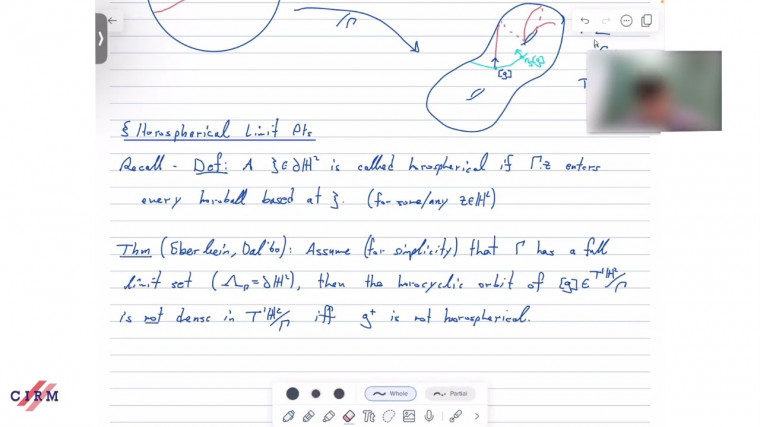 Topology of horocyclic flow on geometrically infinite surface  - part 2
