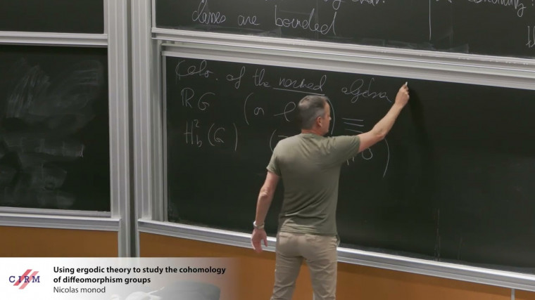Using ergodic theory to study the cohomology of diffeomorphism groups
