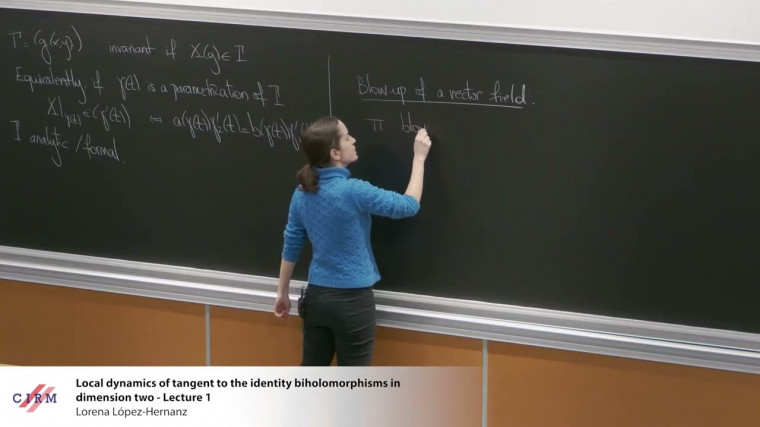 Local dynamics of tangent to the identity biholomorphisms in dimension two lecture 1