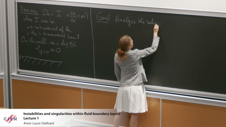 Instabilities and singularities within fluid boundary layers - lecture 1