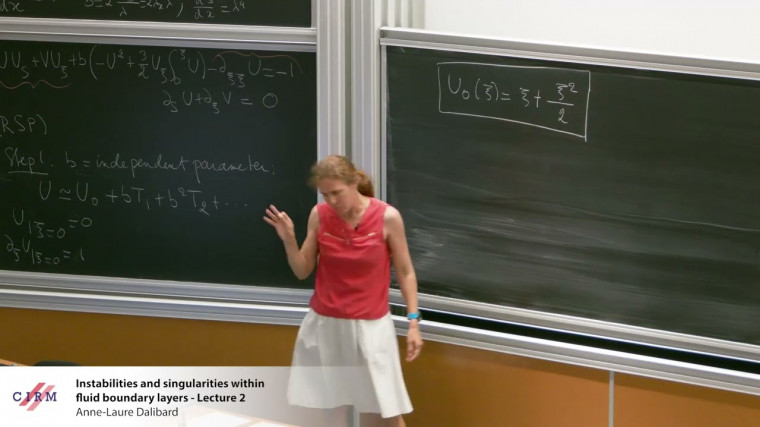 Instabilities and singularities within fluid boundary layers - lecture 2