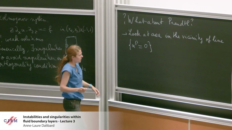 Instabilities and singularities within fluid boundary layers - lecture 3