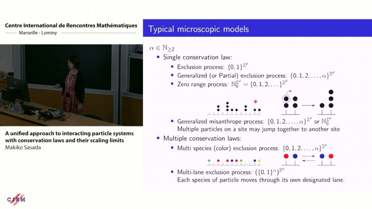 A unified approach to interacting particle systems with conservation laws and their scaling limits