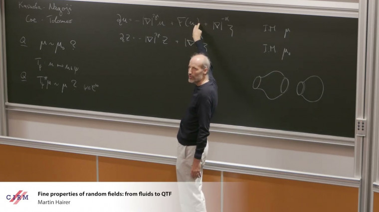 Fine properties of random fields: from fluids to QFT