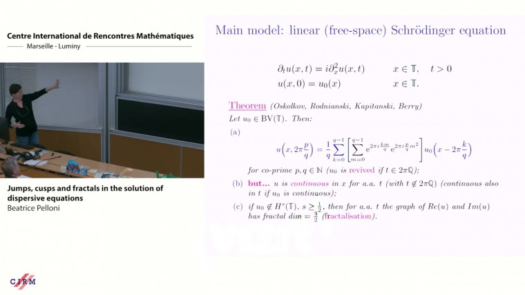 Jumps, cusps and fractals in the solution of dispersive equations