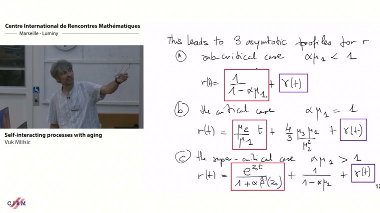 Self-interacting diffusions with aging