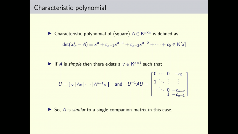 Efficient algorithms for integer and polynomial matrices - Part 2