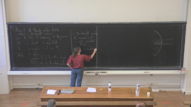 Almost all Reeb vector fields admit a Birkhoff section