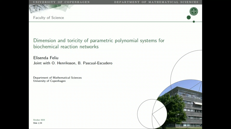 Positive solutions of parametric polynomial systems and biochemical reaction networks