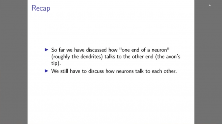 Neurobiology for mathematicians - Part 2