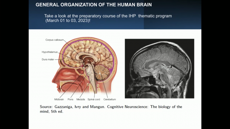 Structural learning by the brain - Part 1