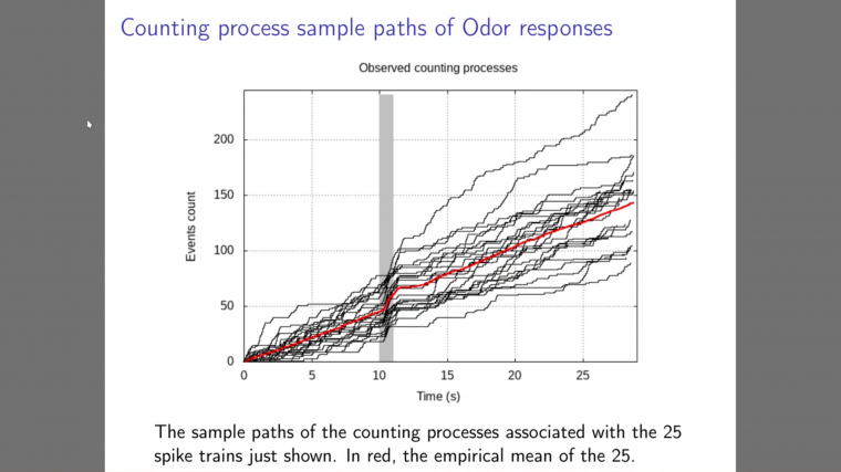 Stochastic modeling of neural networks - Part 1