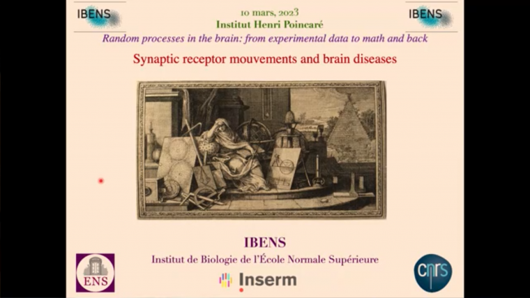 Synaptic receptor mouvements and brain diseases