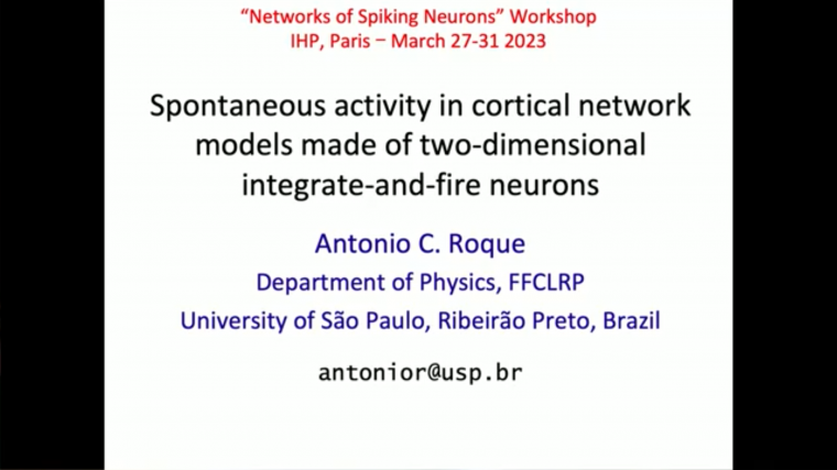 Spontaneous activity in cortical network models made of two-dimensional integrate-and-fire neurons