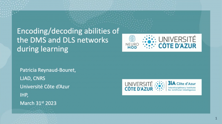 Learning related Encoding Power of the DMS versus DLS networks