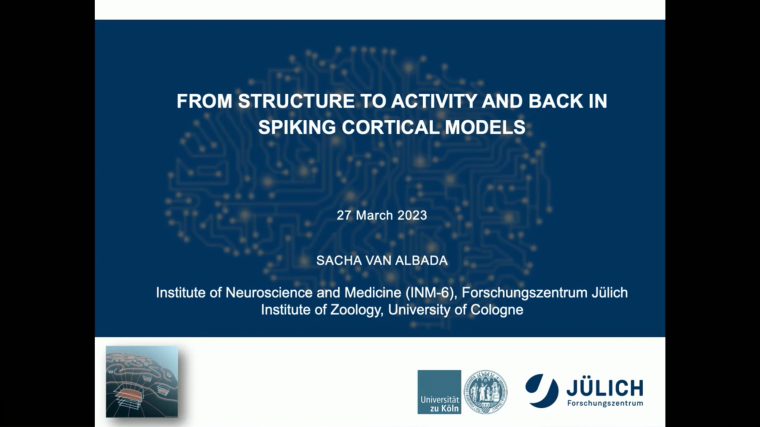 From structure to activity and back in spiking cortical models