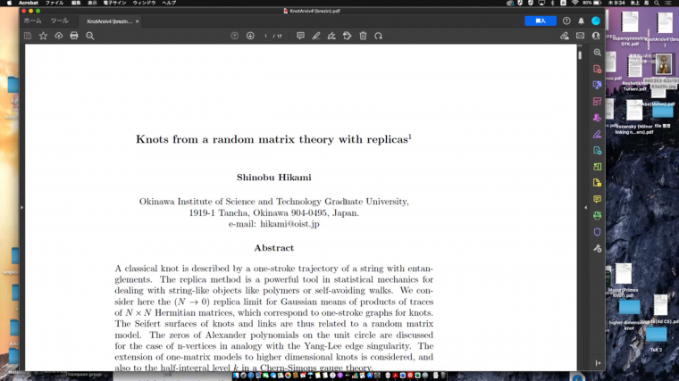 Knot, matrix and tensor models...melon or meron?