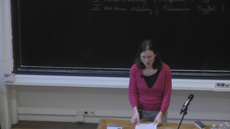 [1217] Progrès récents sur la stabilité des trous noirs